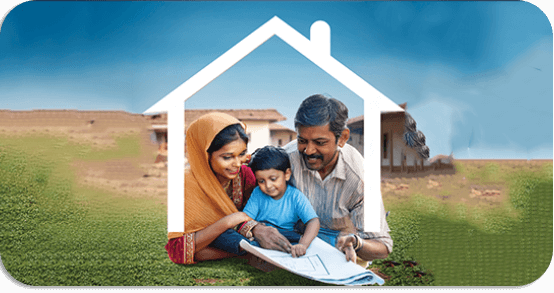 Plot Purchase Loans