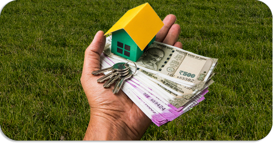 Plot Purchase Loans