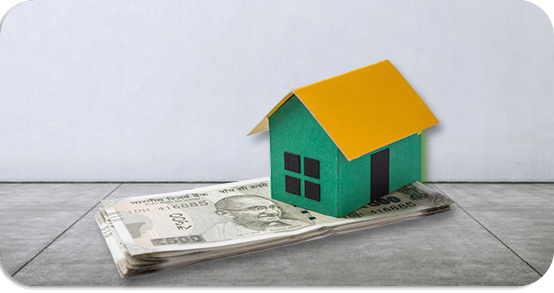Plot Purchase Loans